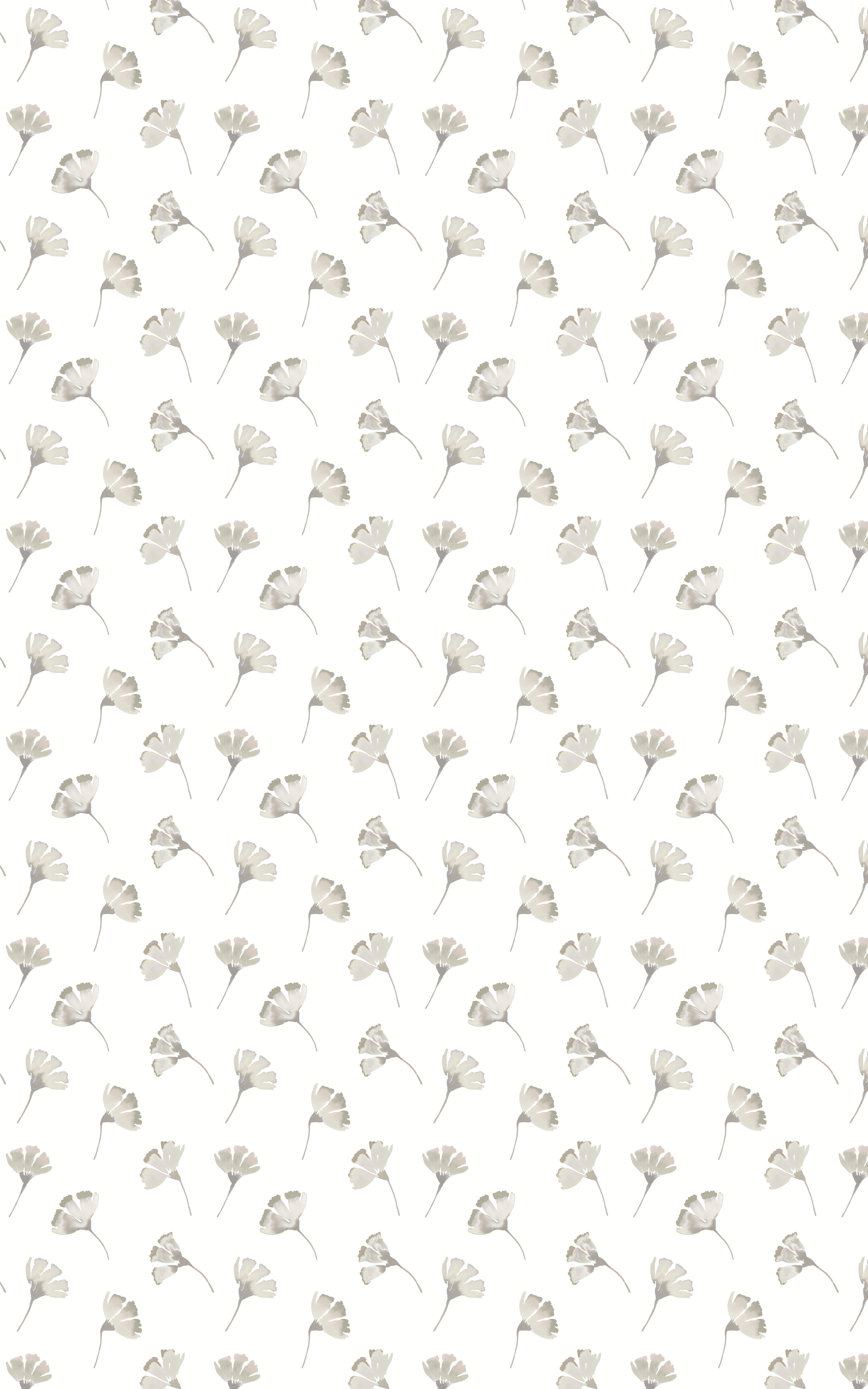 Akita Stone 2.0MT Roller